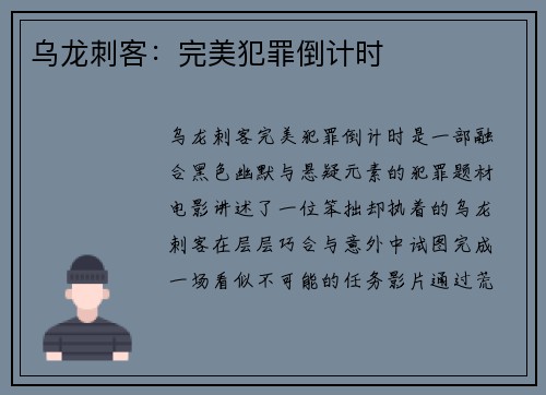 乌龙刺客：完美犯罪倒计时